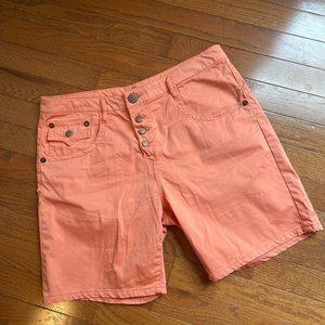 Orange-y Stretch Shorts ~ 29